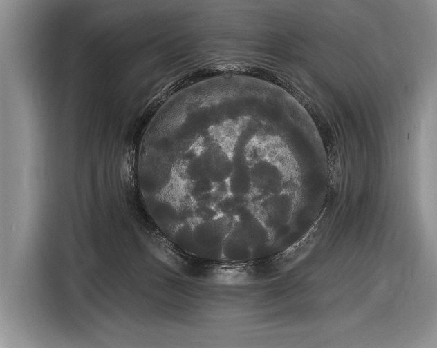 X0000116570175200912171511