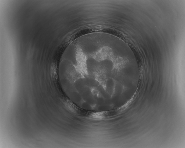 X0000116570178200912171511