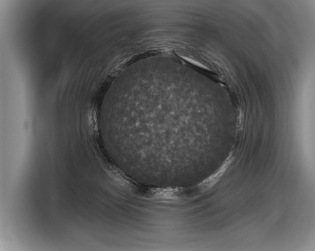 X0000116570182200912171511