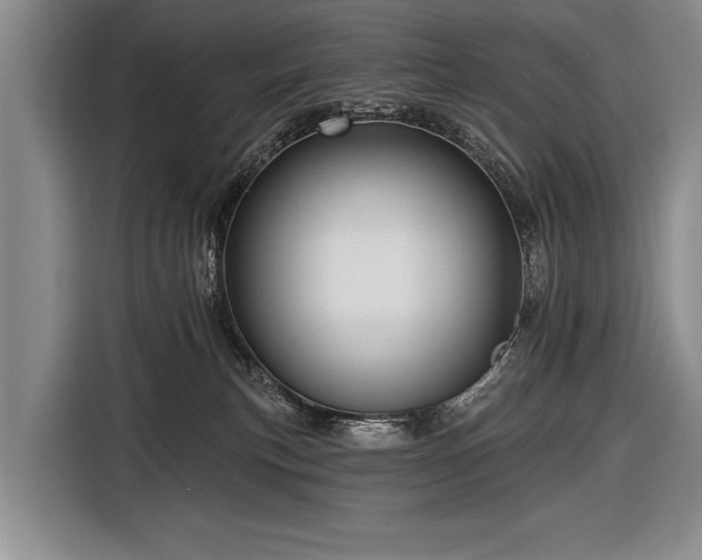 X0000116570183200912171511