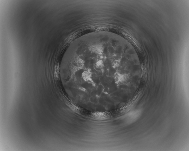 X0000116570189200912171511