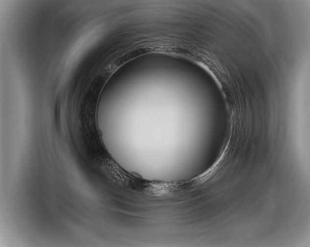 X0000116570190200912171511