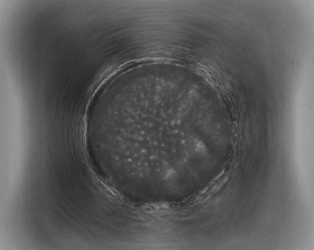 X0000116570194200912171510