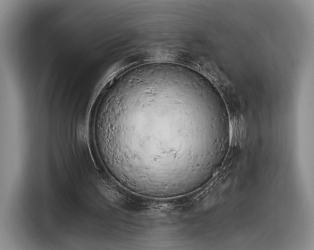 X0000116570195200912171510