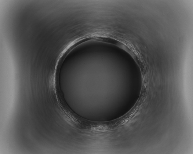 X0000116570196200912171510