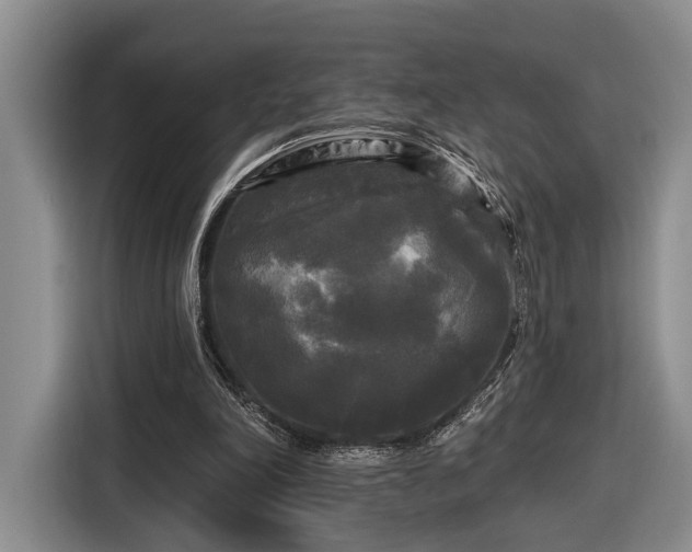 X0000116570198200912171510