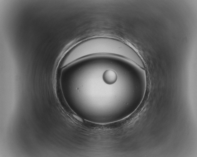 X0000116570199200912171510