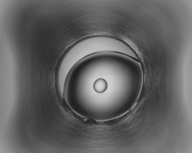 X0000116570201200912171510