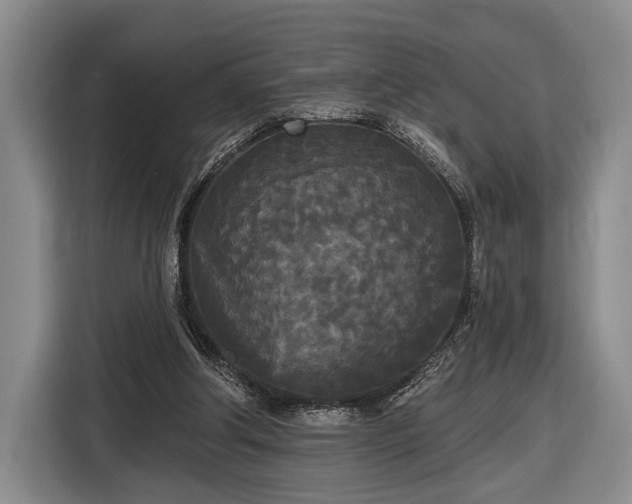 X0000116570202200912171510