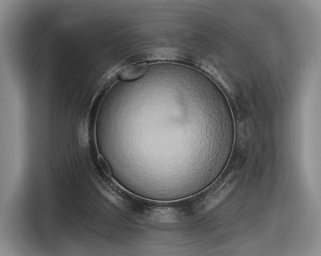 X0000116570203200912171510