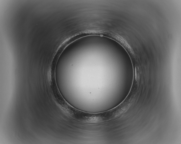 X0000116570204200912171510