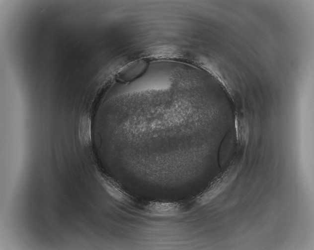 X0000116570205200912171510