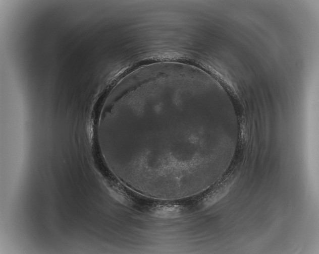 X0000116570206200912171510