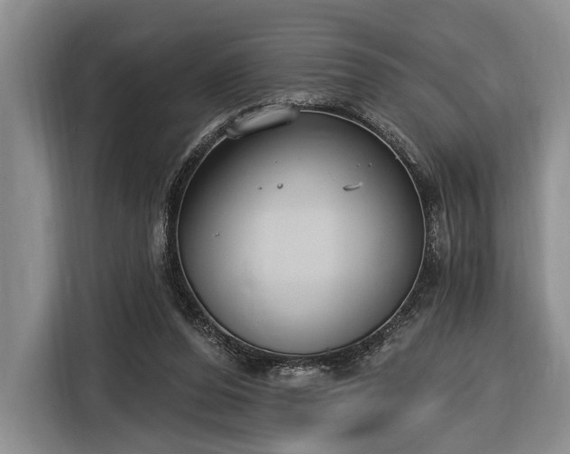 X0000116570208200912171510