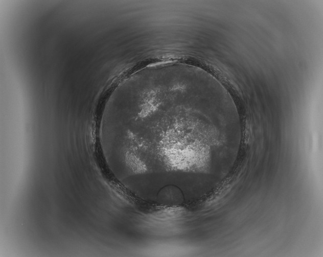 X0000116570210200912171510