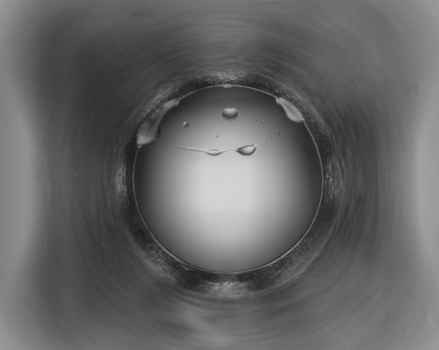 X0000116570212200912171510