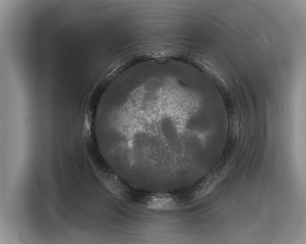 X0000116570214200912171510