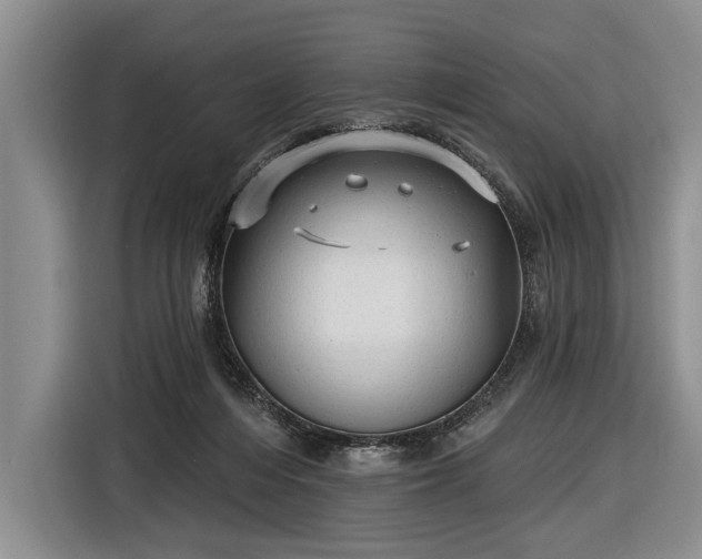 X0000116570216200912171510