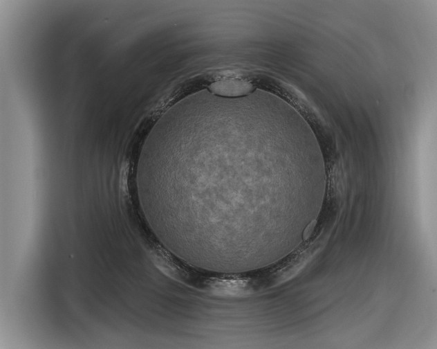 X0000116570217200912171510