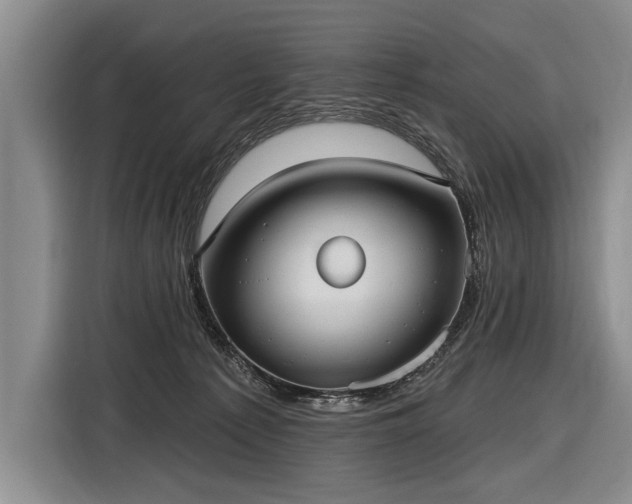 X0000116570225200912171510