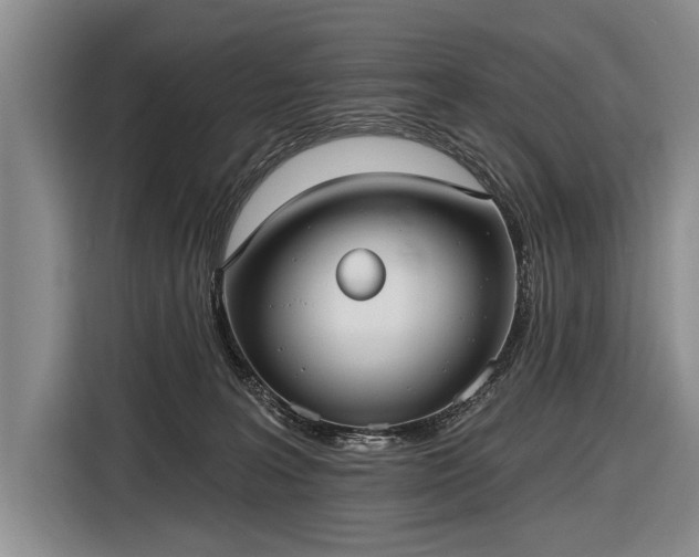 X0000116570227200912171510