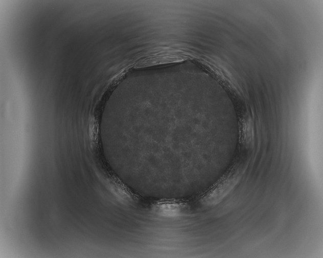 X0000116570228200912171510