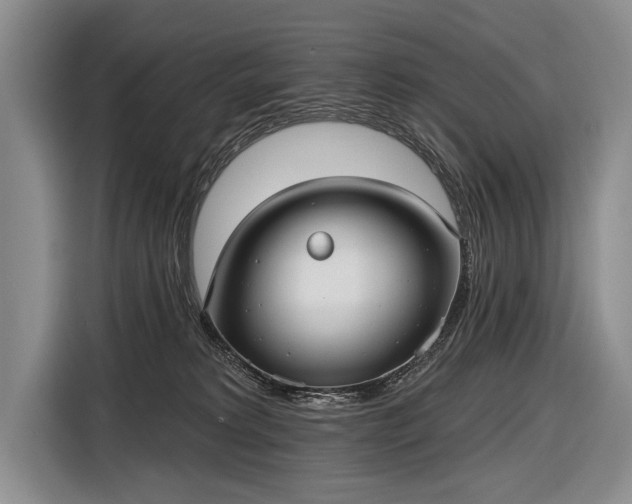 X0000116570229200912171510