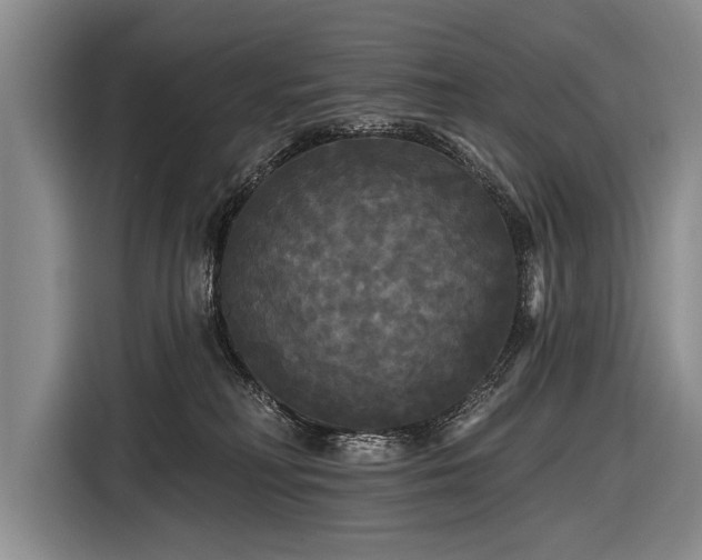 X0000116570230200912171510