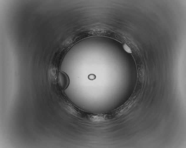 X0000116570232200912171510