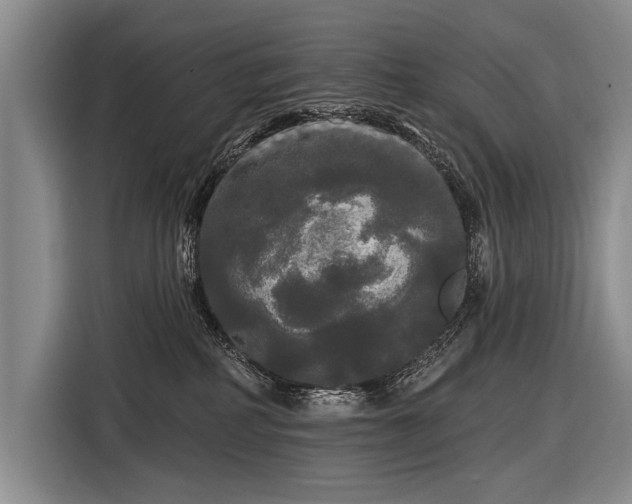 X0000116570234200912171510