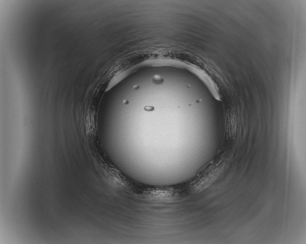 X0000116570236200912171510