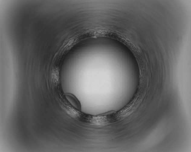 X0000116570240200912171510