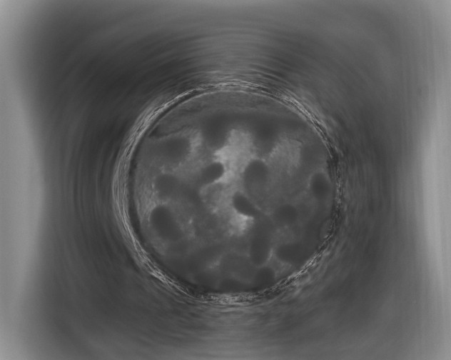 X0000116570241200912171509