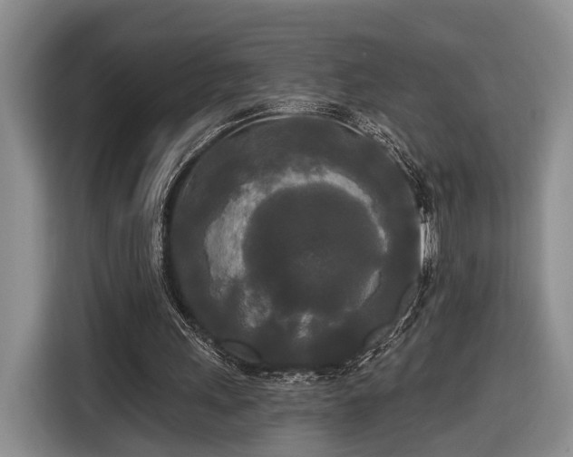 X0000116570243200912171509