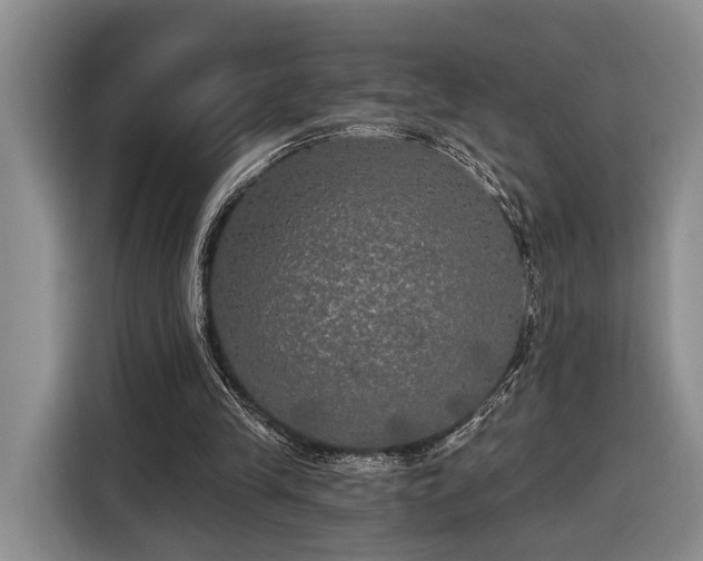 X0000116570245200912171509