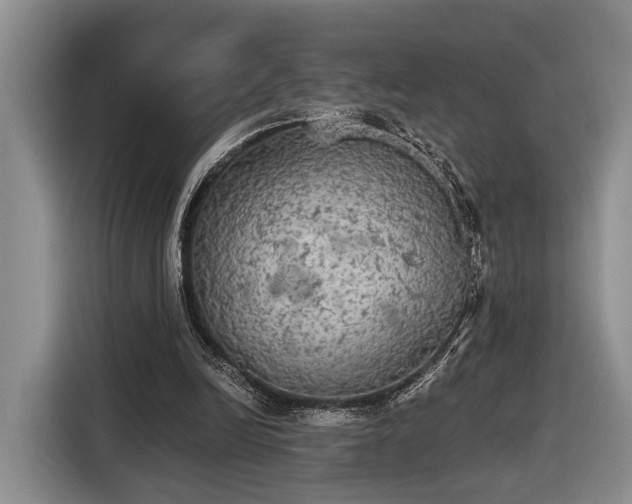 X0000116570246200912171509