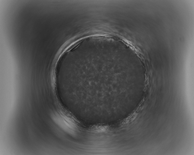 X0000116570247200912171509