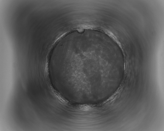 X0000116570249200912171509