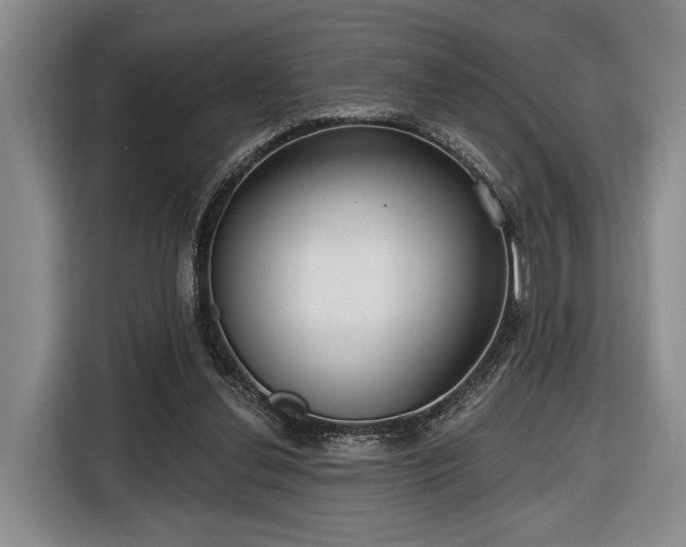 X0000116570252200912171509