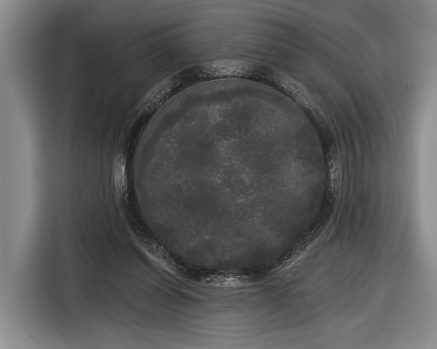 X0000116570254200912171509