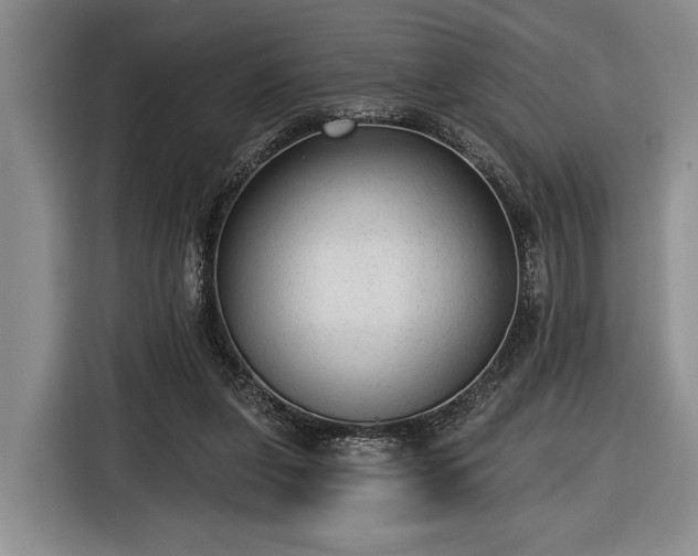 X0000116570255200912171509