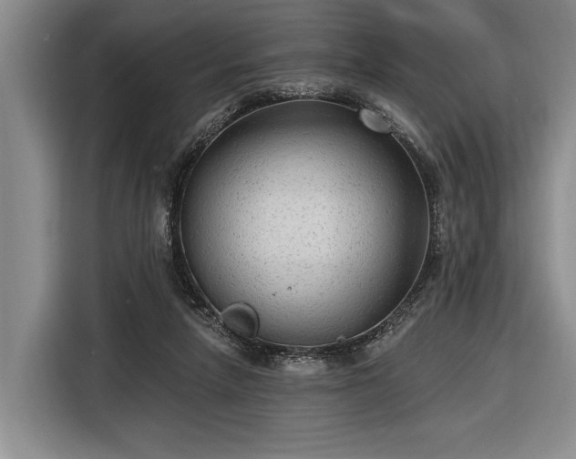 X0000116570258200912171509