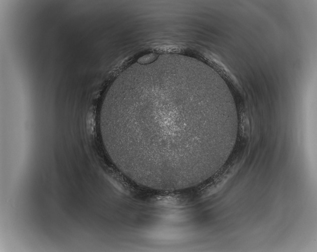 X0000116570259200912171509