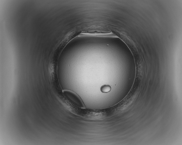 X0000116570260200912171509