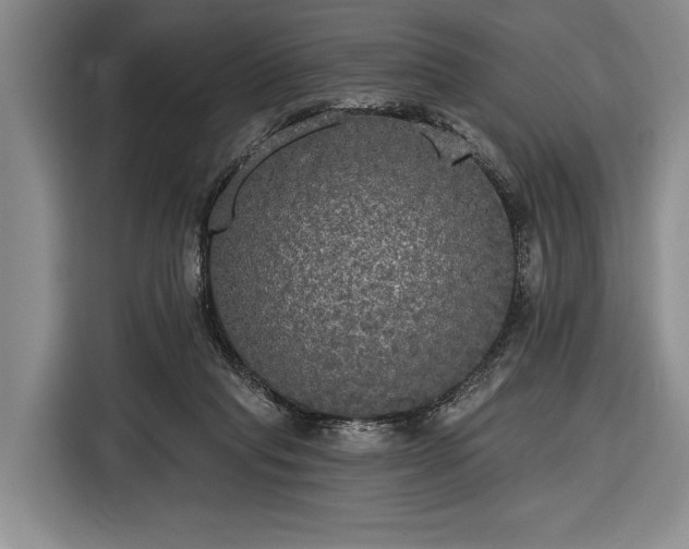 X0000116570261200912171509