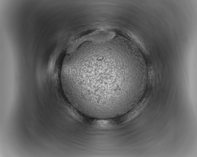 X0000116570265200912171510