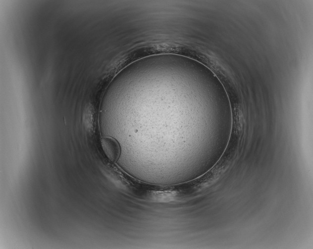 X0000116570266200912171510