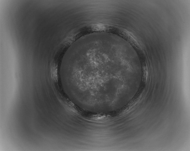 X0000116570267200912171510