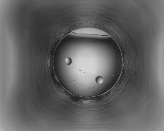 X0000116570268200912171510