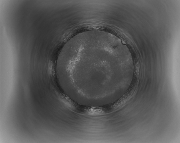 X0000116570270200912171510